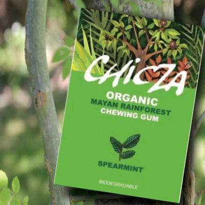 Rágógumi fodormentás BIO 30g Chicza