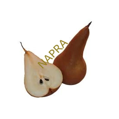 Körte  BIO (kg)
