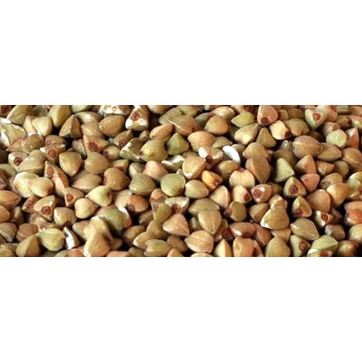 BIO Hajdina (kg)
